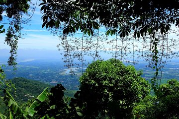 Ba Vi National Park Trekking Discovery day tour with stunning panoramic view