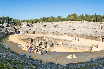 Private 4-hour Tour of Italica from Seville with pick up