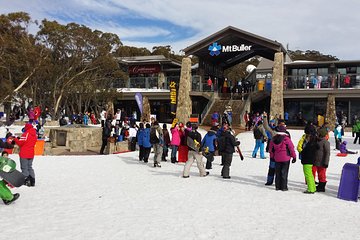 Mt Buller Day Trip from Melbourne