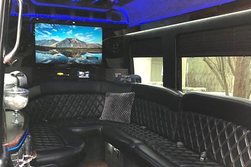 Party Bus - Sprinter Limo Rental