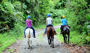 Horseback Ride to La Fortuna Waterfall
