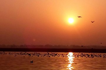 Morning Boat Tour followed by a short heritage walking tour in VARANASI