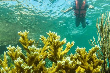 Local Fishing Plus Snorkeling Tour in Isla Mujeres