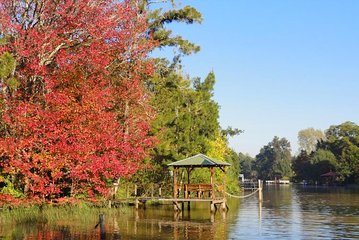 Tigre Delta Sightseeing Cruise from Buenos Aires