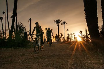 The Palmery Off-Road Bike Tour from Marrakech