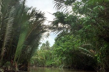 Mekong Delta in Ben Tre private tour full day