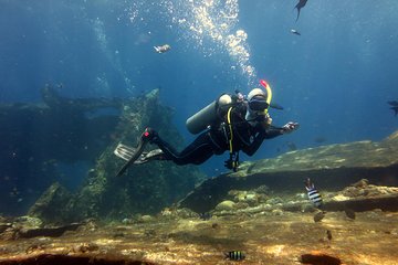 Try Scuba Diving with BALI DIVING at TULAMBEN