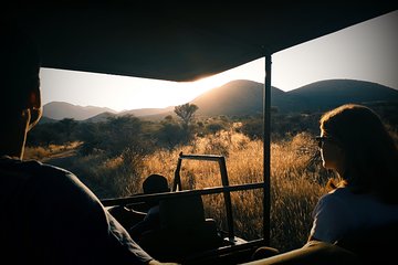 Scenic Game Drive Activity