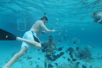 Stingray City Experience Plus Two Snorkeling Stops on Grand Cayman