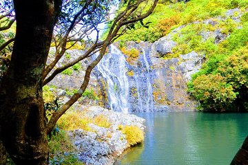 Hiking in Mauritius: Tamarind Falls (7 Cascades) With Hotel Transfer & Guide