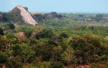Private tour Coba - Cenote - Valladolid