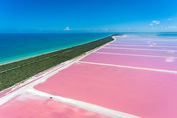 Pink Waters of Las Coloradas, Pink Flamingos and Colonial City of Valladolid with Photographer