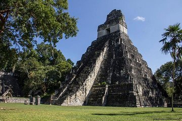 Day Trip to Tikal Maya Ruins Including Lunch