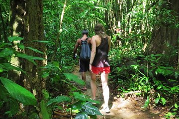 2-Day Khao Sok Jungle Safari from Krabi