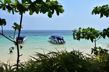 Private Phi Phi Island Speed Boat Tour by Sea Eagle from Krabi