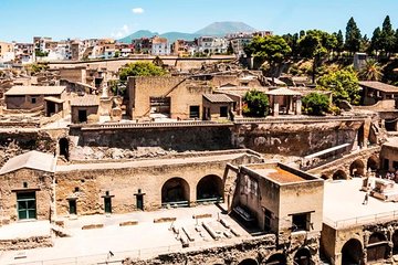 Herculaneum Ruins Private Half-Day Tour