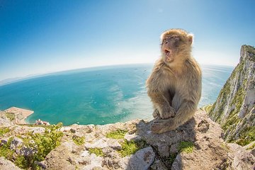 Gibraltar Day Trip from Seville