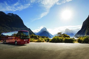 Milford Sound Coach and Nature Cruise with Buffet Lunch from Te Anau