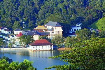 All inclusive - Private & Custom Kandy tour from Bentota and Beruwela