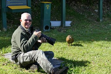 Bird Watching and Dolphin Eco-Tour from Picton