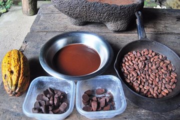 Chocolate tour in indigenous area BriBri & Cahuita National Park