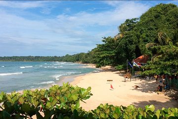 Cahuita National park (hiking) plus Tortuguero canals