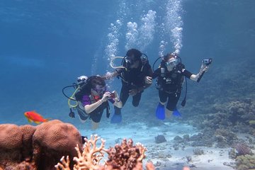 Intro Diving In Sharm El Sheikh