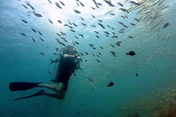 Diving at Koh Chang, daytrip with 2 dives