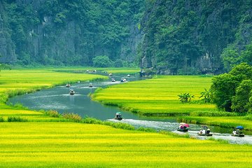 Amazing Ninh Binh Full Day: Hoa Lu - Tam Coc (VIP tour: group 7 people)