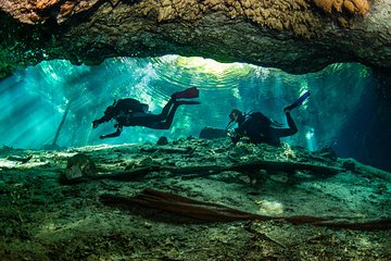 Go for 2 dives in cenote Dos ojos for certified divers