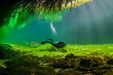 Amazing beginner dive in Tulum cenote (or refresher dive)