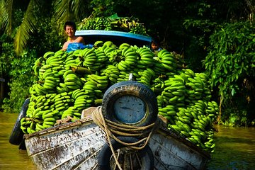 Cu chi Tunnel & Mekong Delta Full Day BBQ Lunch Lux Group 10 pax