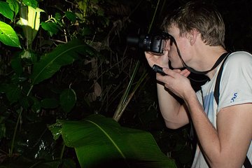 Night Walk in Tortuguero