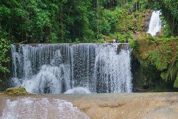 South Coast Tour: YS Falls, Black River Safari