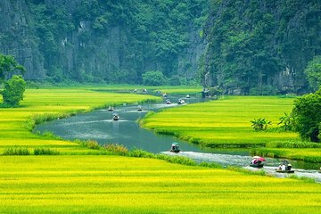 Luxury Ninh Binh Full Day tour: HOA LU - TAM COC - MUA CAVE