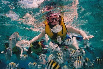 Full-Day Snorkeling Trip to Sharm El Naga from Hurghada