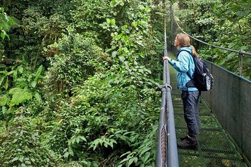 Hanging Bridges and Nature Preserve at Tenorio volcano 