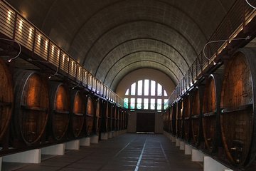 Private Cape Winelands from Stellenbosch OR Franschhoek OR Paarl