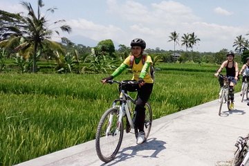 Bali Mountains and Villages Cycling Tour