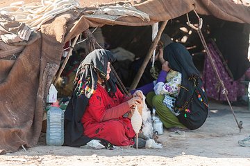  Berber Experience Private Sahara Desert Day Trip