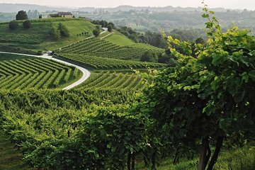 Prosecco Tour and Tasting from Venice