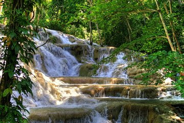 Day Trip to Dunn's River Falls from Montego Bay