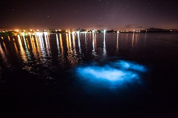 Luminous Lagoon Tour from Montego Bay