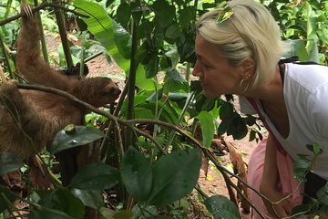 Wild Life And Horseback Riding Through The Rain Forest