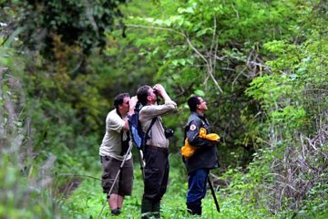 Birdwatching in Cerro Blanco from Guayaquil