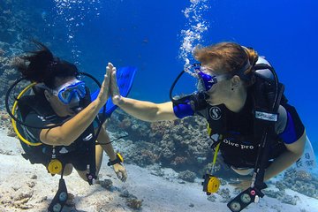 2 dives from a comfy boat for Certified Divers