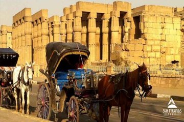 Aswan City Tour by Horse Carriage