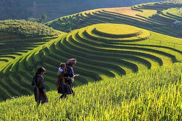 Sapa trekking 2 days 3 nights by overnight train/ Sleeper bus stay at homestay