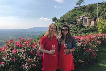 A Sparkling Day in the Prosecco Hills from Venice by Yellowboot