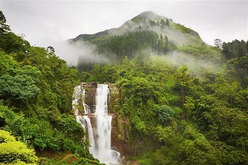 Nuwara Eliya Tour